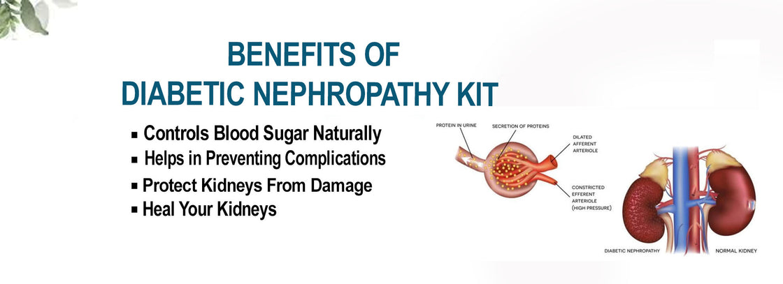 Diabetic Nephropathy Kit