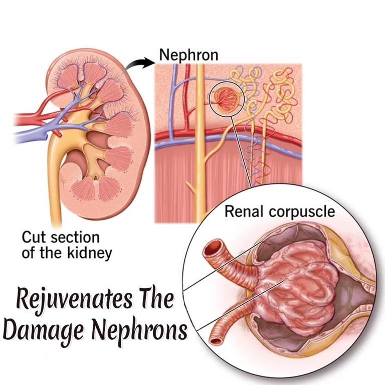 Protein Urea Healer Kit