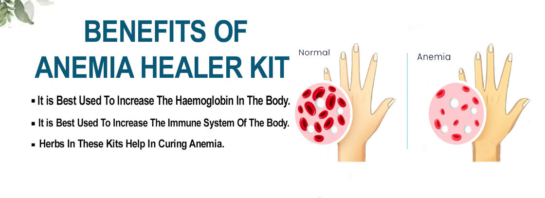 Anemia Healer Kit