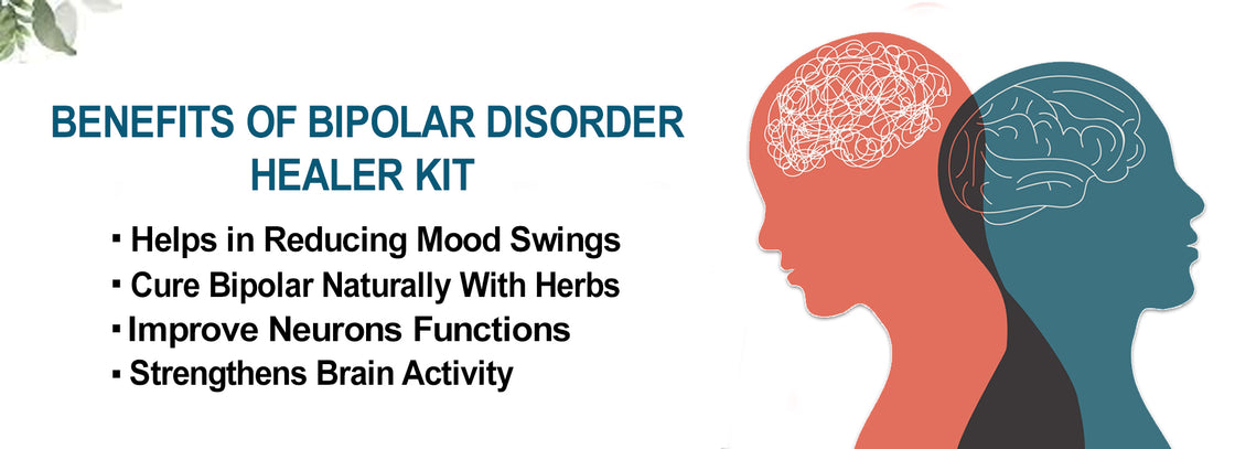 Bipolar Disorder Healer Kit