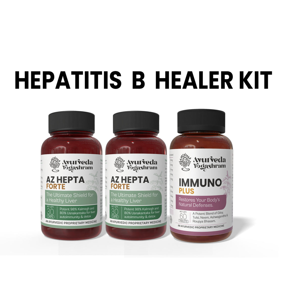 Hepatitis B Healer Kit