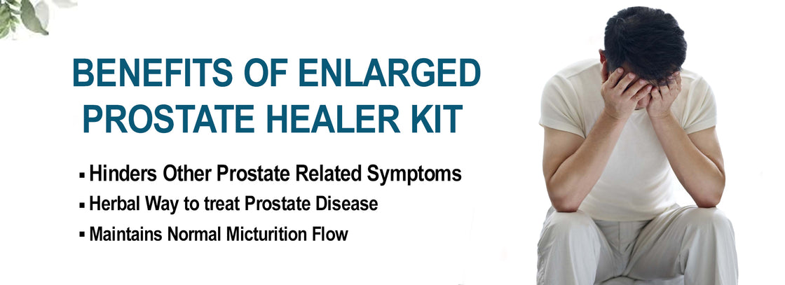 Enlarged Prostate Healer Kit