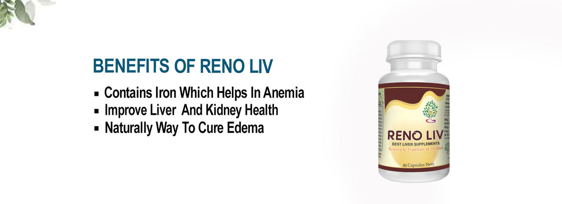 Reno Liv