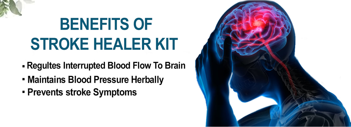 Stroke Healer Kit