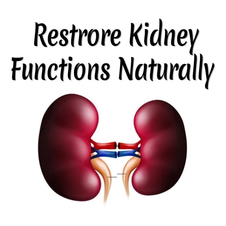 Polycystic Kidney Kit